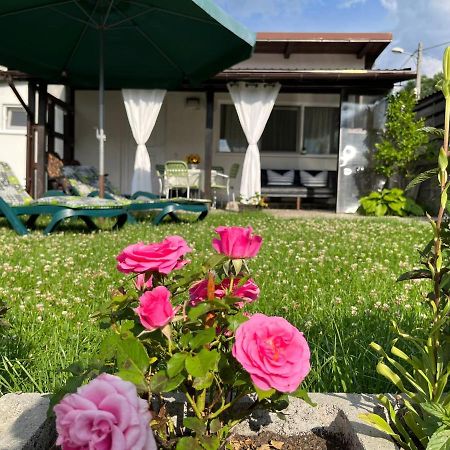 Charmante Petite Maison Transylvanie Βίλα Săcele Εξωτερικό φωτογραφία