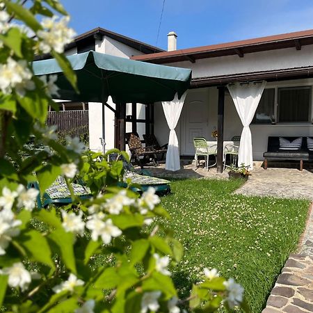 Charmante Petite Maison Transylvanie Βίλα Săcele Εξωτερικό φωτογραφία