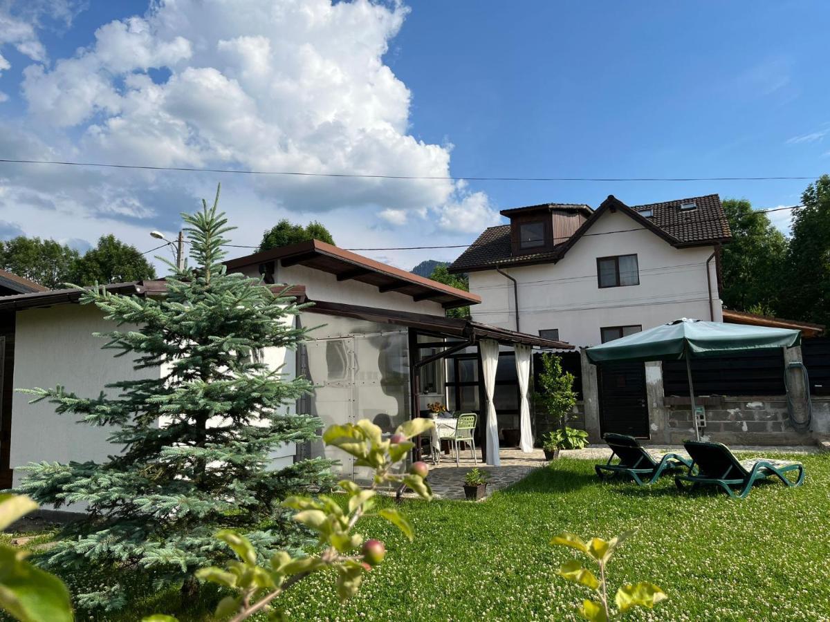 Charmante Petite Maison Transylvanie Βίλα Săcele Εξωτερικό φωτογραφία
