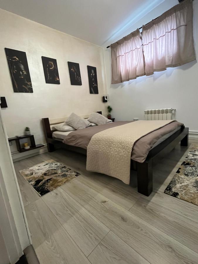 Charmante Petite Maison Transylvanie Βίλα Săcele Εξωτερικό φωτογραφία
